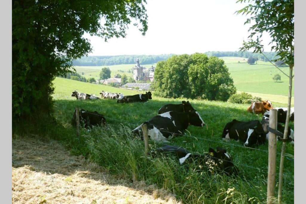 Hoeve Espewey Cottage Hombourg Zewnętrze zdjęcie